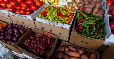 Ceny eko-produktów na e-rynkach. My już je znamy
