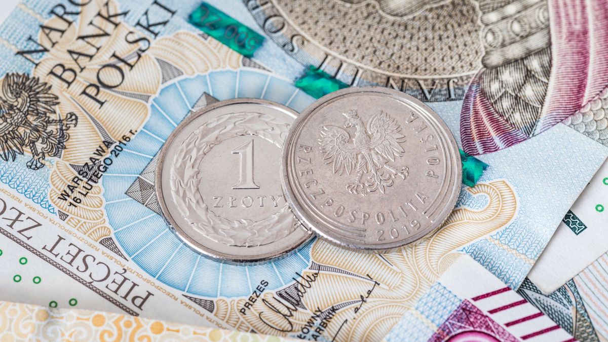 Stock ArZifot: Arkadiusz Ziolek/ East News.  n/z Polskie pieniadze.ARKADIUSZ ZIOLEK