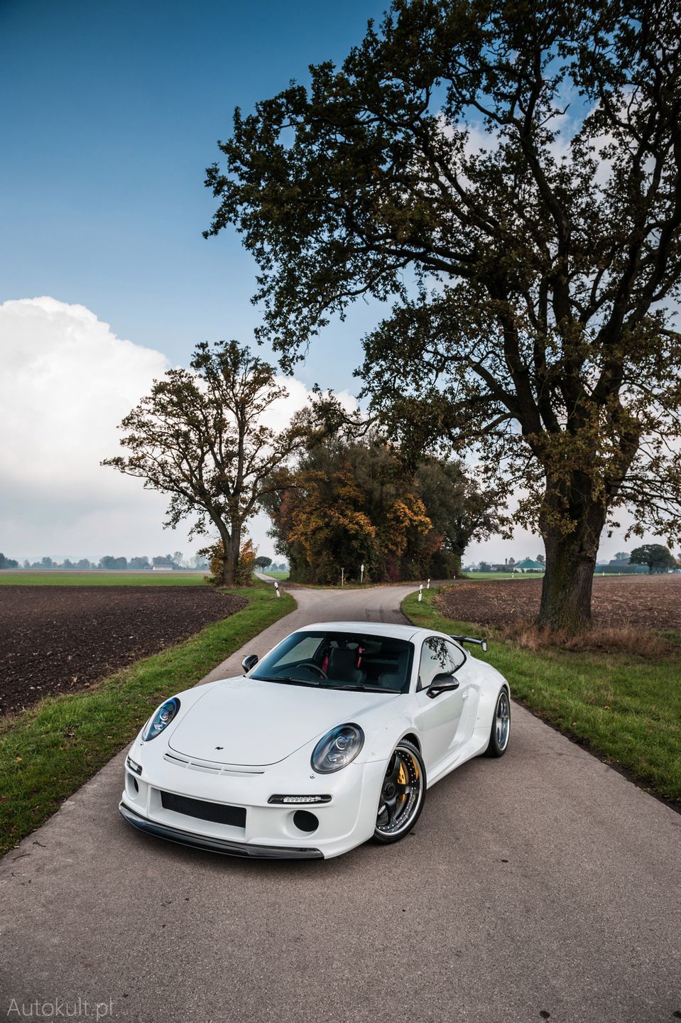 Ruf RGT (2016) (fot. Konrad Skura)