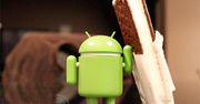 Ice Cream Sandwich przystosowany dla niedowidzących
