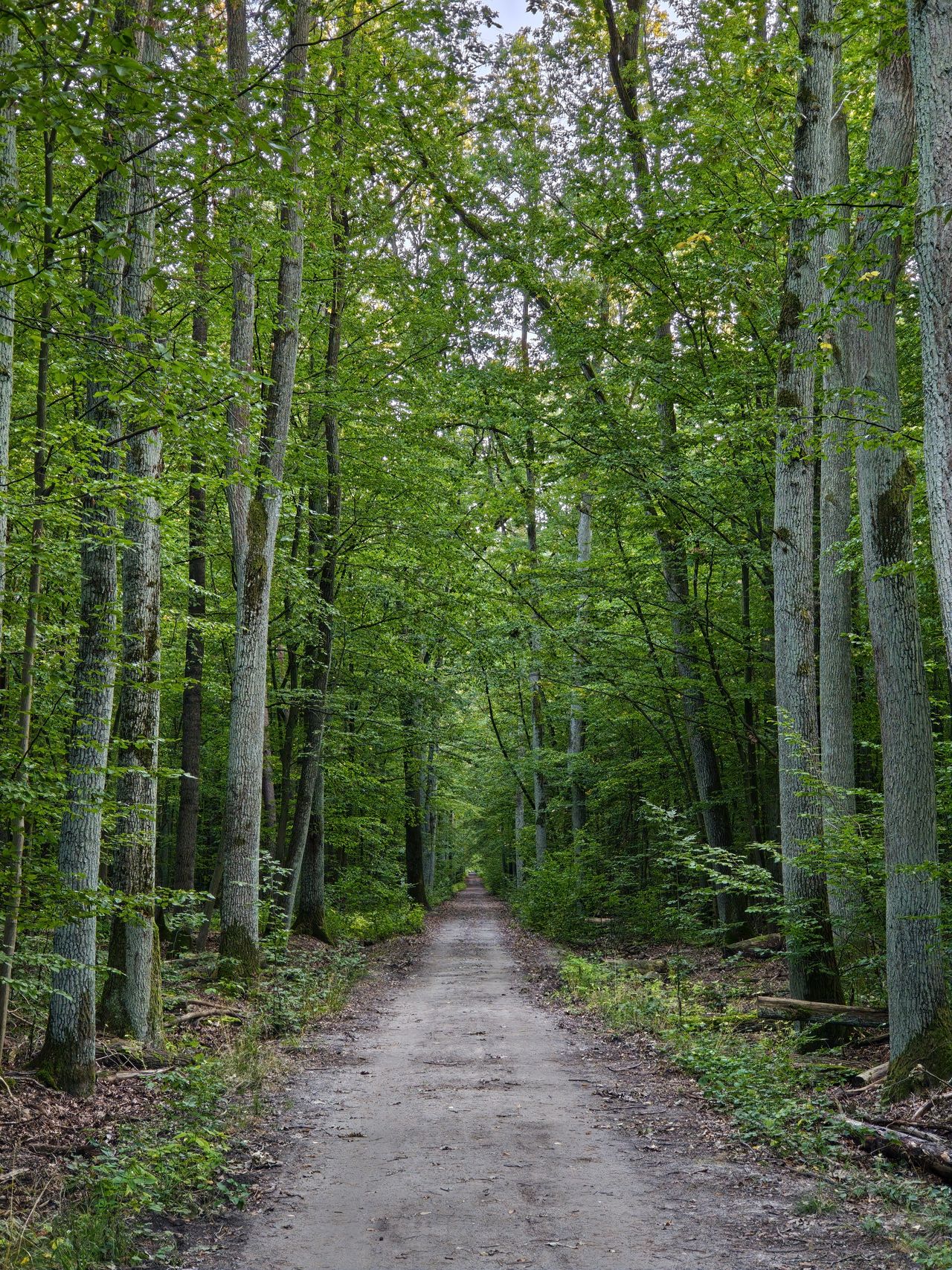 POCO F9 Pro - zdjęcie zoom x2.5