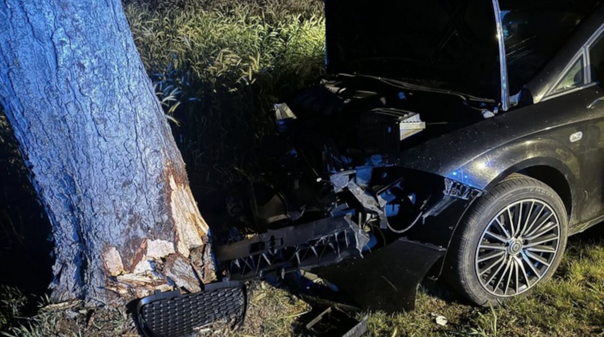 Wypadek niedaleko Golubia-Dobrzynia. Samochód uderzył w drzewo