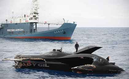 Wielorybnicy vs Sea Shepherd - trimaran uszkodzony! (wideo)