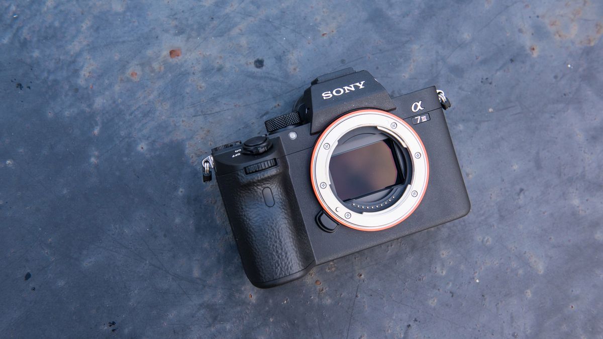 Sony A7 III, czyli podstawowa pełna klatka dla profesjonalistów - pierwsze wrażenia i zdjęcia przykładowe 1