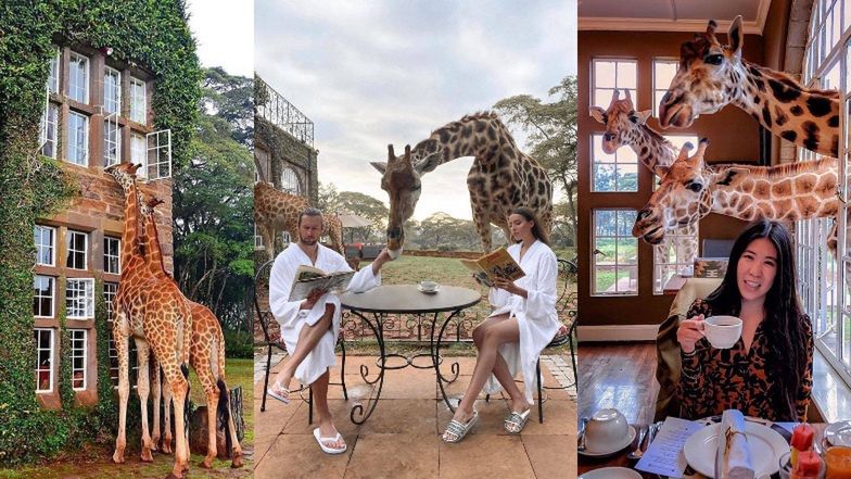 Grzegorz Krychowiak i Celia Jaunat na kolejnych wakacjach w luksusach. Też chcielibyście zjeść śniadanie z żyrafami?