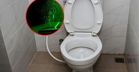 Opuszczasz deskę po spłukiwaniu? Naukowcy grzmią