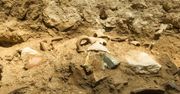 Tragedia opisana w Biblii. Naukowcy mają dowody, że się wydarzyła