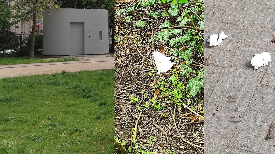 Tak we wtorek wyglądał park Żeromskiego