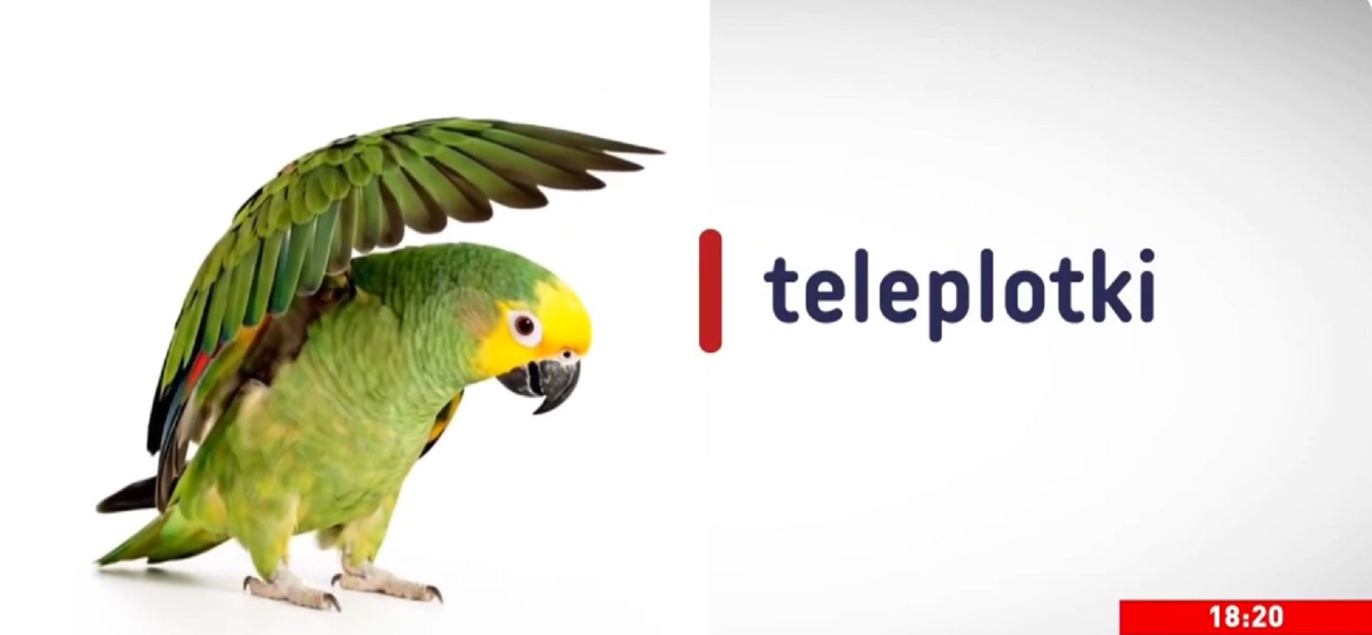 "Teleplotki" od pół roku na antenie. Taką widownię gromadzi program TVP Info