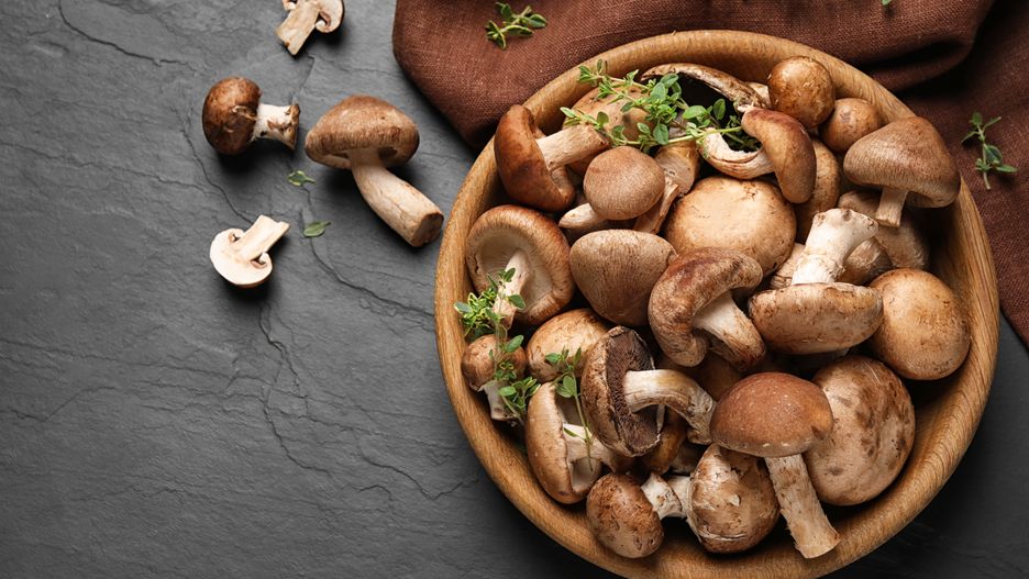 Different fresh wild mushrooms in bowl on black background, flat lay
assortment, autumn, background, black, bowl, brown, champignon, color, cook, cooking, cuisine, culinary, delicious, different, eatable, eating, edible, fall, flat, food, forest, fresh, fungi, gourmet, healthy, ingredient, lay, many, meal, microgreen, mushroom, mushrooms, natural, nutrition, object, organic, plant, raw, recipe, shiitake, stone, table, tasty, top, variety, vegetarian, view, whole, wild, wooden, assortment, autumn, background, black, bowl, brown, champignon, color, cook, cooking, cuisine, culinary, delicious, different, eatable, eating, edible, fall, flat, food, forest, fresh, fungi, gourmet, healthy, ingredient, lay, many, meal, microgreen, mushroom, mushrooms, natural, nutrition, object, organic, plant, raw, recipe, shiitake, stone, table, tasty, top, variety, vegetarian, view, whole, wild, wooden