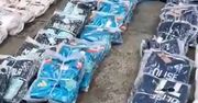 Było ich 16 ton. Proceder w Hiszpanii podczas mundialu. Reakcja policji