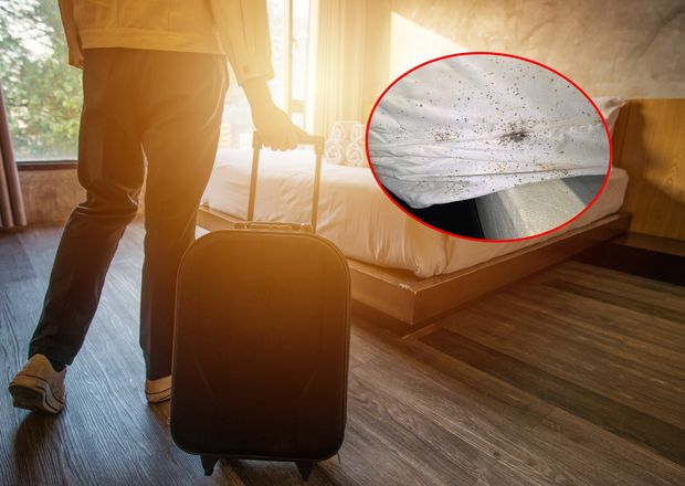 Mogą zniszczyć każdy urlop. Jak sprawdzić, czy jesteśmy bezpieczni?