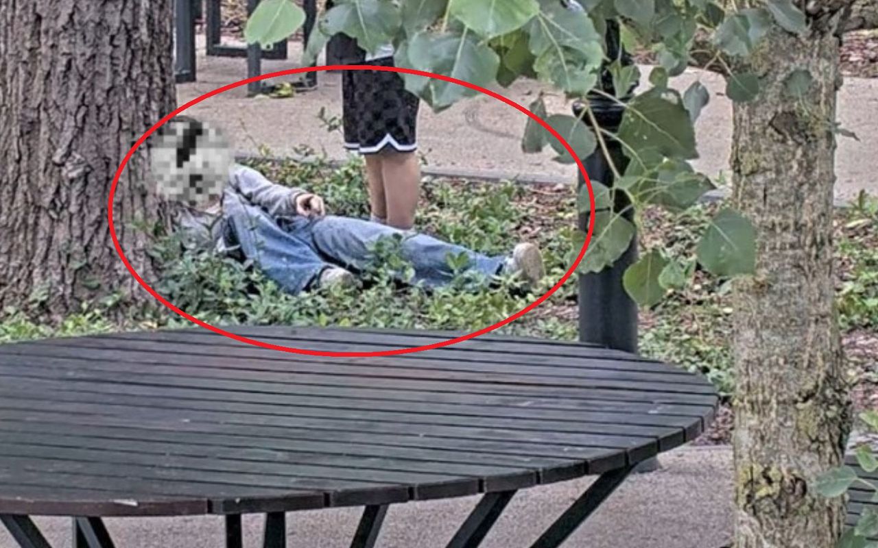 Dramatyczne sceny w Łodzi. 14-latka leżała pod drzewem