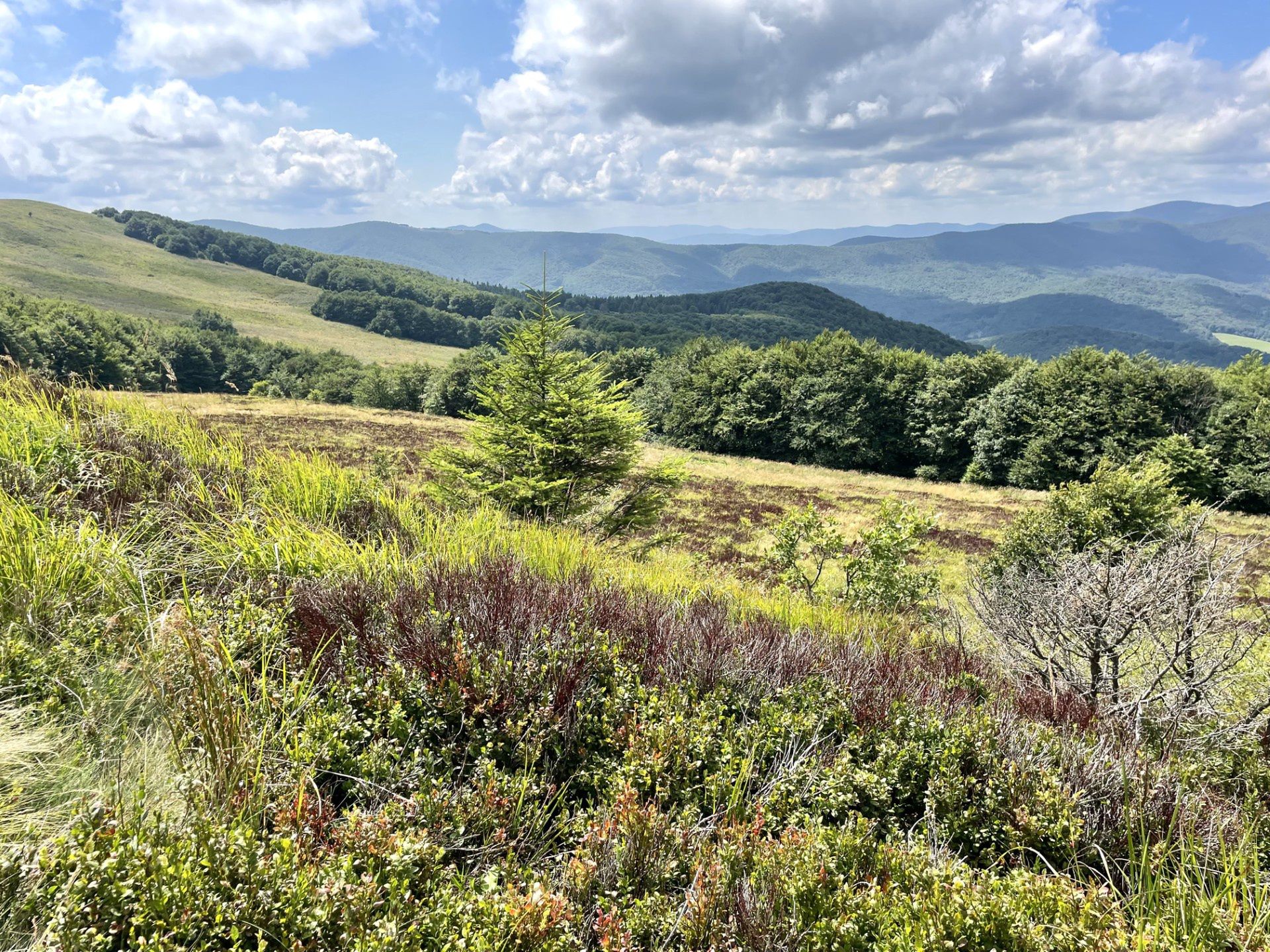 Bieszczady pełne są miejsc dla koneserów ciszy i spokoju