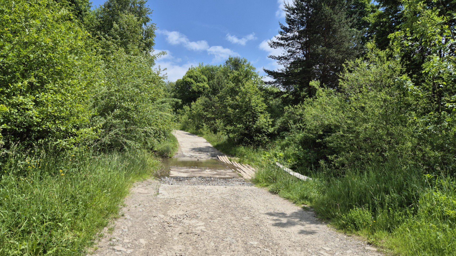Bieliczna u stóp Lackowej