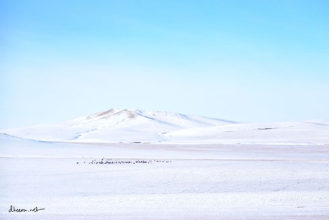 Mongolskie zimy są pełne wspaniałych krajobrazów, ale tylko dla tych, którzy są na nią przygotowani.