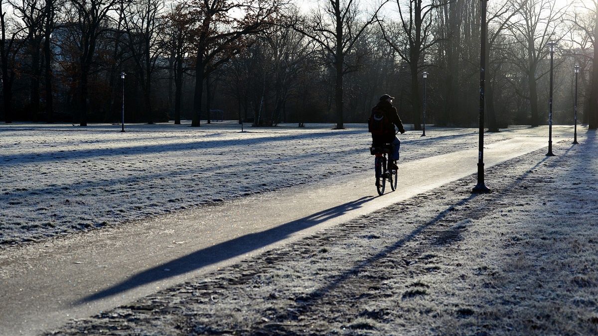 Rowerzyści ukarani wysokimi mandatami 