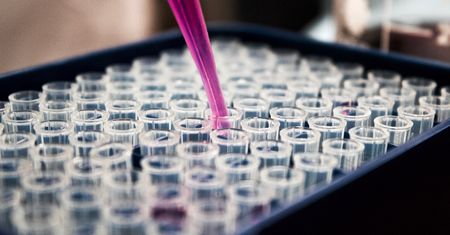 Polscy naukowcy w czołówce badań nad wiekiem DNA