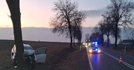 Jadąc Toyotą 27-latek wjechał w stado saren, a następnie uderzył w drzewo. Z miejsca wypadku zabrała go helikopter