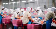 Producent sałatek kończy działalność. 200 osób straci pracę