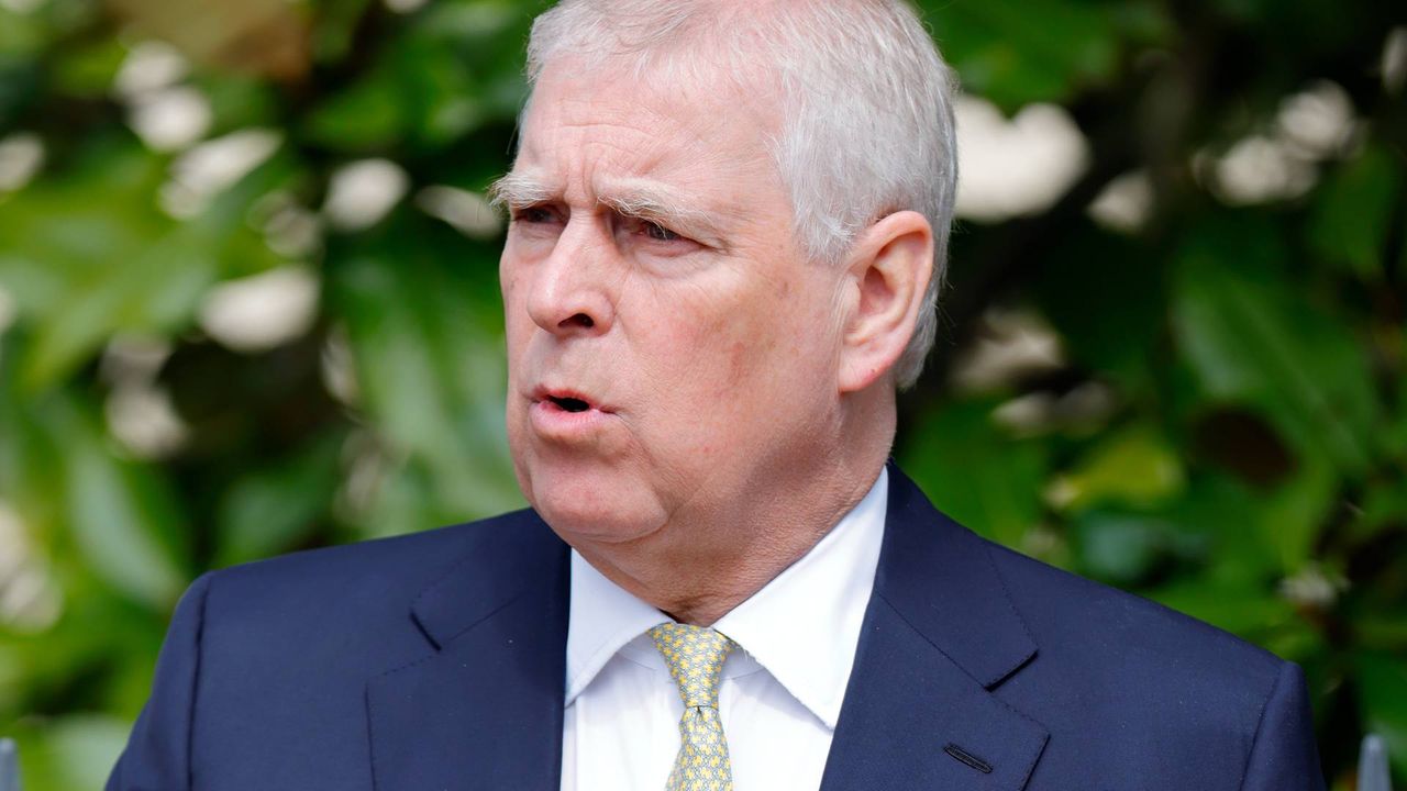 Książę Andrzej i jego majątek