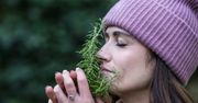 Stworzyli wyszukiwarkę zapachów. Niektóre są cuchnące, inne dziwne