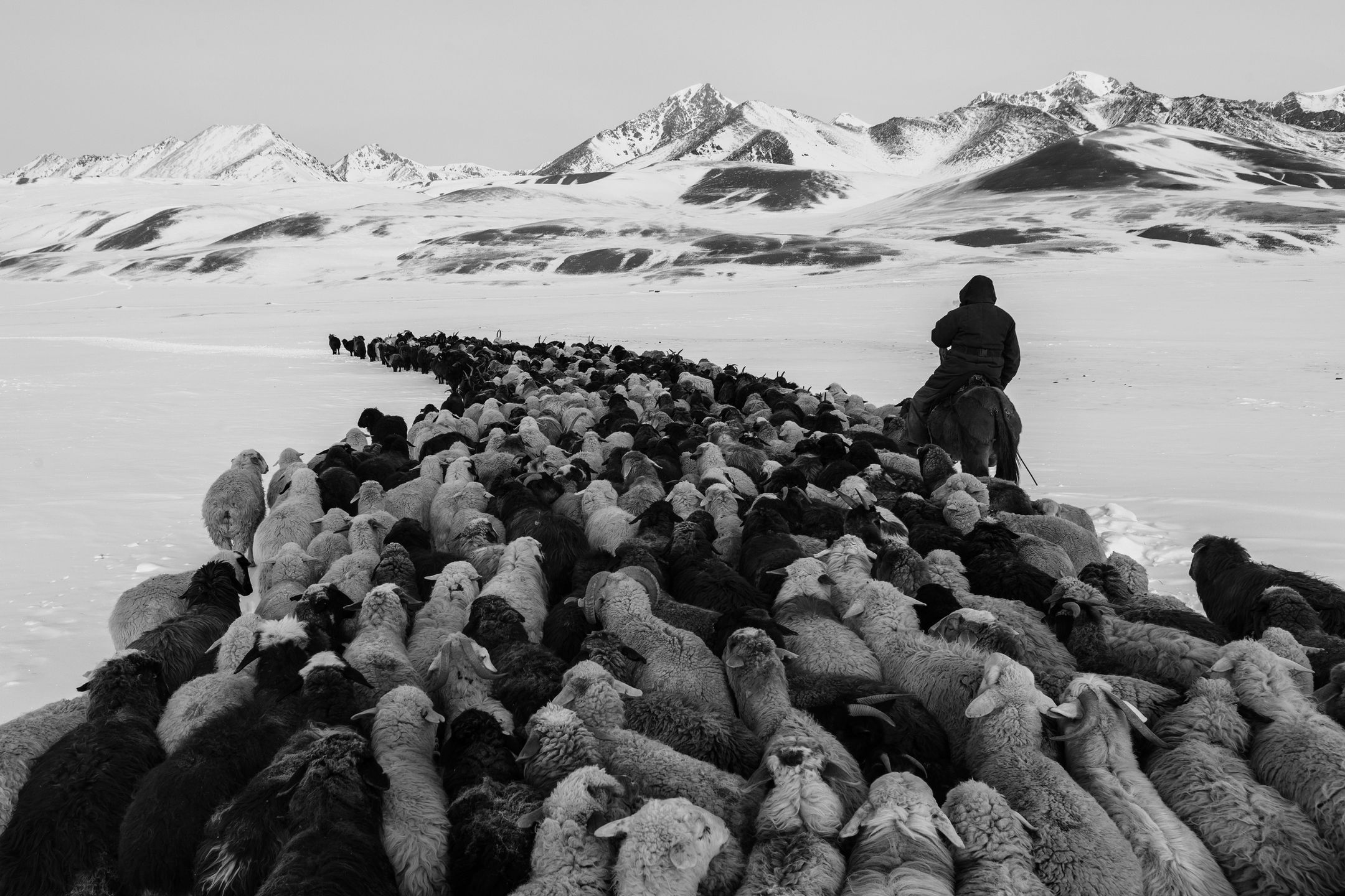 Sony World Photography Awards 2017 - poznajcie zwycięzców największego konkursu fotograficznego świata 4