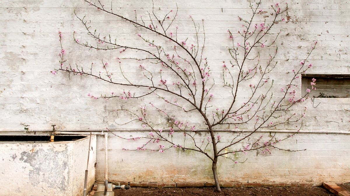 Mary Ellen Mark, William Klein oraz laureaci SWPA 2014 i fotografowie Panos Pictures na wystawie w Londynie 1