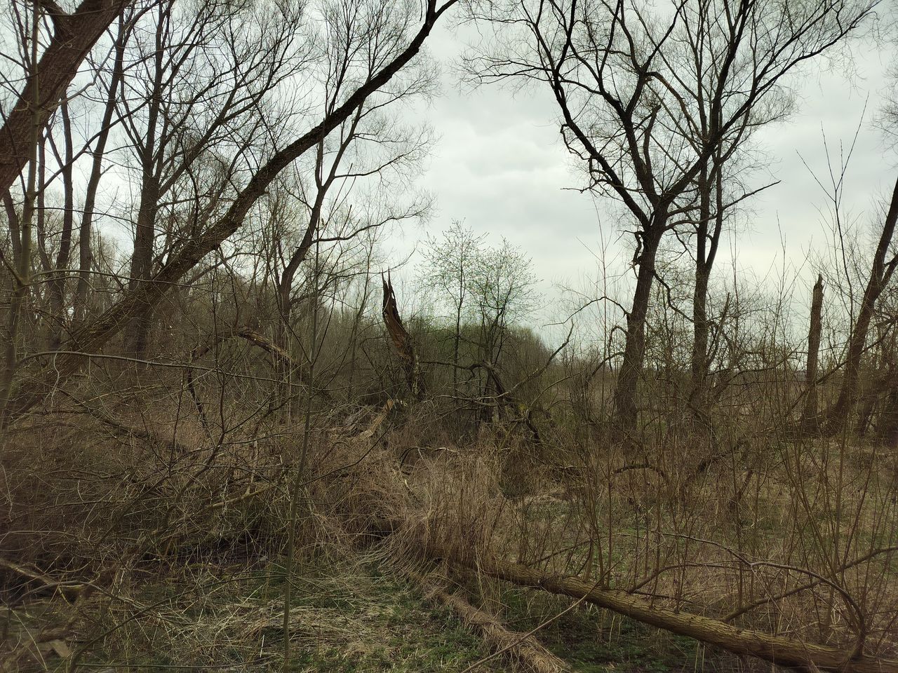 Po lewej zdjęcie bez HDR, po prawej z aktywnym HDR.