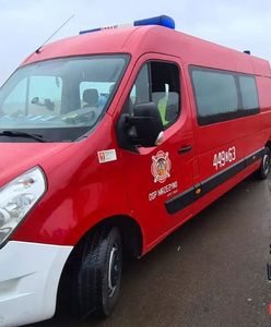 Zaskakujące doniesienia. Niemcy szukali skarbów w Polsce? Utknęli