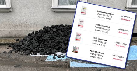 Tu można kupić w Polsce węgiel. Pojawia się nowy gracz