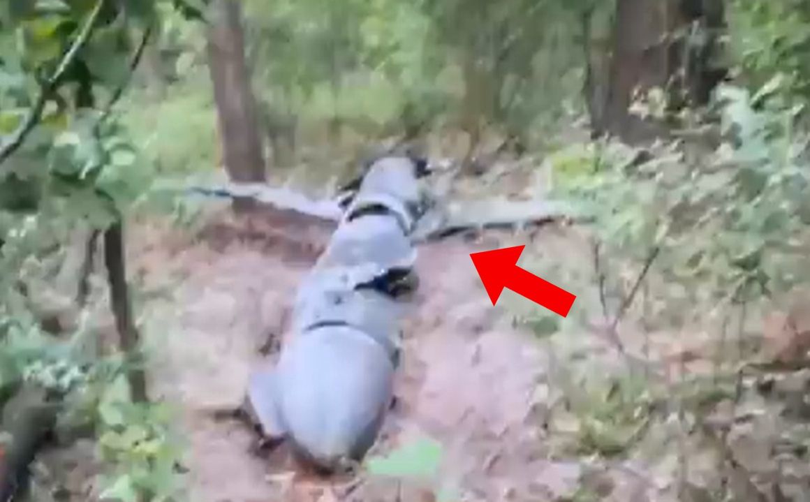 A Kh-55 missile found in Ukraine