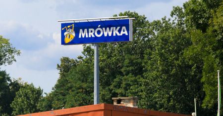 Gang wyłudzający VAT w Grupie PSB? 52 podejrzanych w prokuratorskim śledztwie