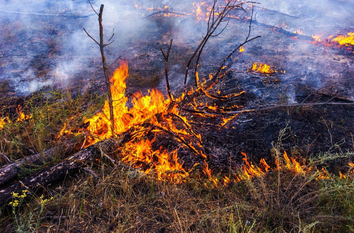 Fires plague Europe