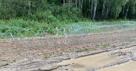 13 osób zatrzymanych. Straż Graniczna: niszczyli płot graniczny