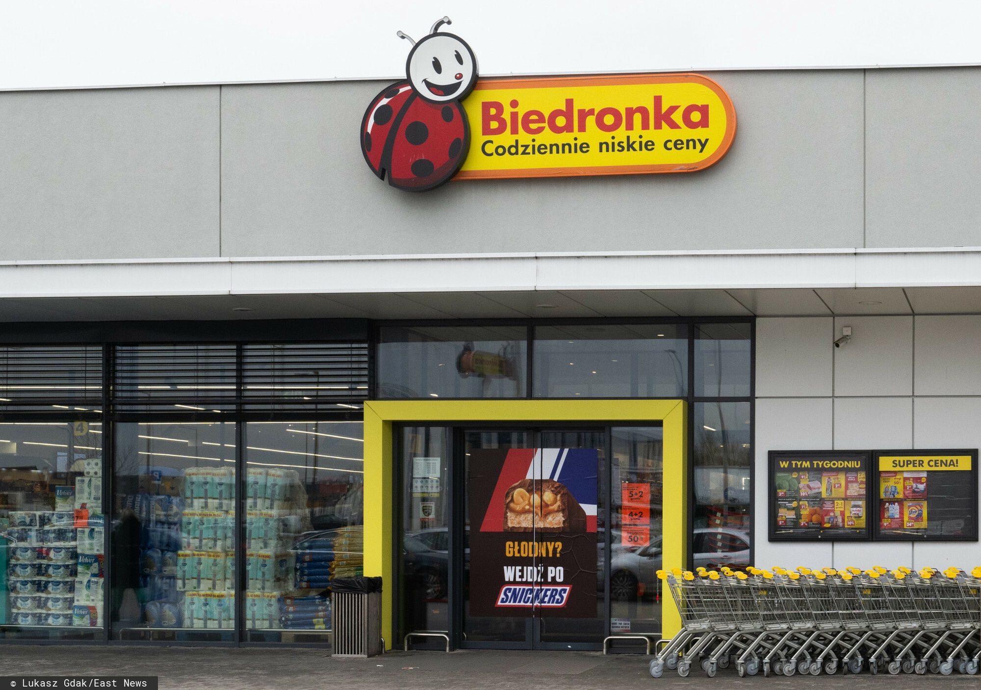 Klienci rzucili się na kolekcjonerską roślinę w Biedronce