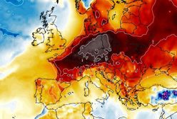 Pogoda "wariuje". Gwałtowny wzrost temperatury, nawet 15 stopni