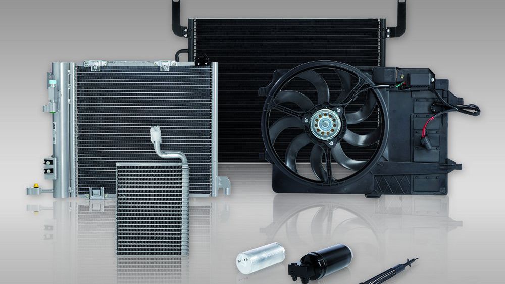 Zdjęcie ilustracyjne do artykułu