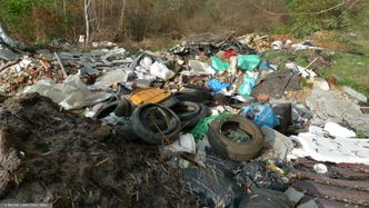 Śmieci w Nowym Sączu zniknęły. "Sytuacja bez precedensu. Gdzie je znajdziemy? W piecach"