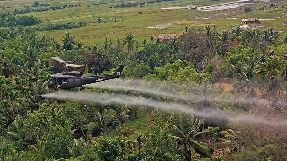 Opryski defoliantami w delcie Mekongu
