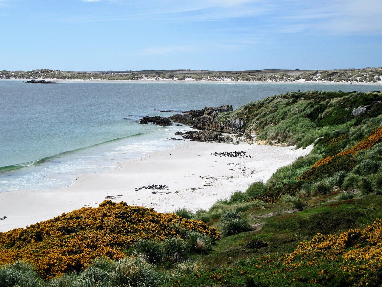 Brytyjczycy wściekli. Chiny dają Argentynie Falklandy