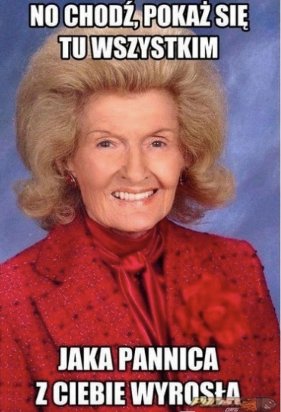 Memy z okazji Dnia Babci 2026