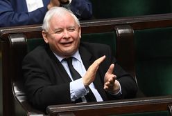 Jarosław Kaczyński o opozycji: "hołota chamska". Co na to prof. Bralczyk?