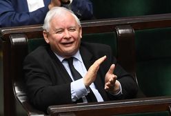 Jarosław Kaczyński o opozycji: "hołota chamska". Co na to prof. Bralczyk?