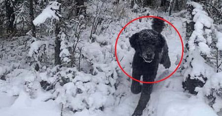 Co widzisz na zdjęciu? Odpowiedź wiele o tobie mówi