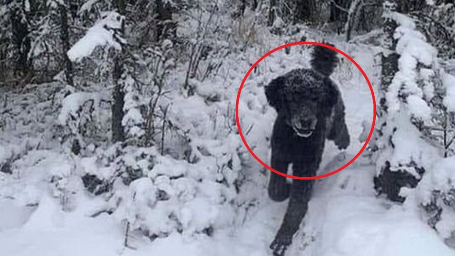 Co widzisz na zdjęciu? Odpowiedź wiele o tobie mówi