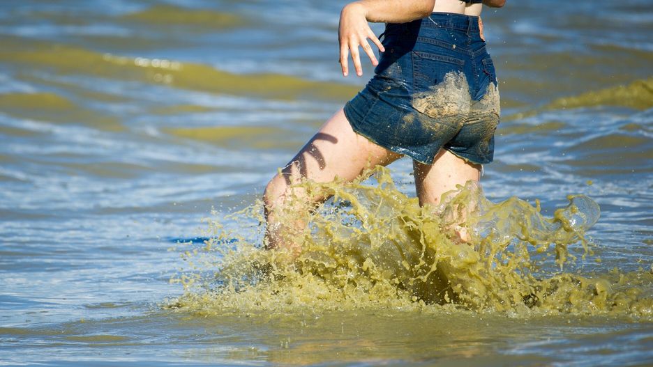 Wykwit sinic na pla?ach w Gda?sku24.07.2018 Gdansk Jelitkowo Zakaz kapieli i puste plaze ze wzgledu na wykwit sinic  Fot. Wojciech Strozyk/REPORTERWojciech Strozyk/REPORTER