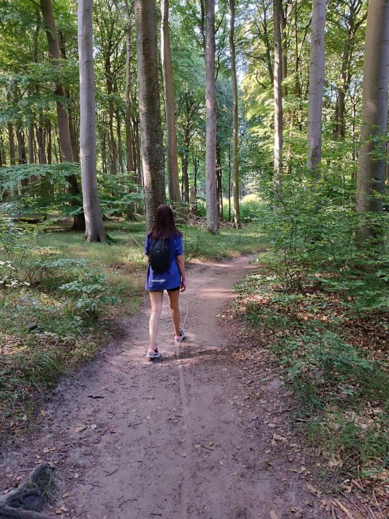  Park Jasmund - Rugia