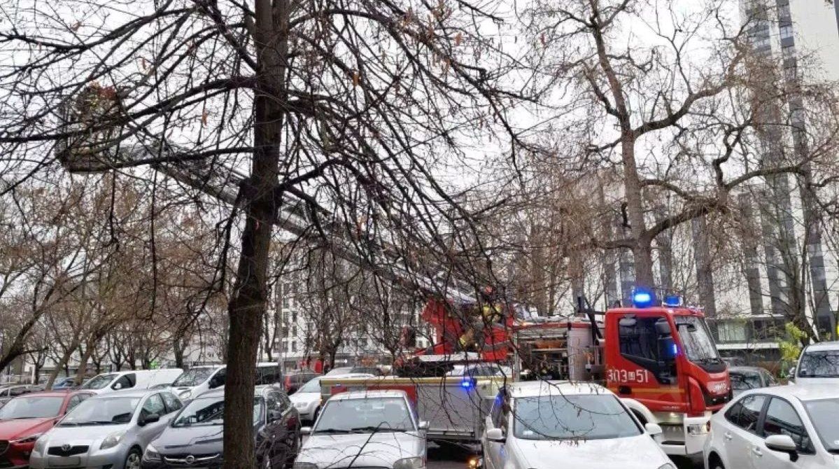 Warszawa: Gołąb potrzebował pomocy. Służby ruszyły na ratunek