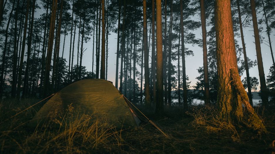 Noc pod namiotem w lesie to wspaniałe przeżycie